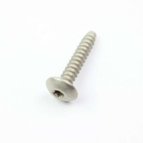 GE Screw 10-16 X 0.95 Type B - WB1K63